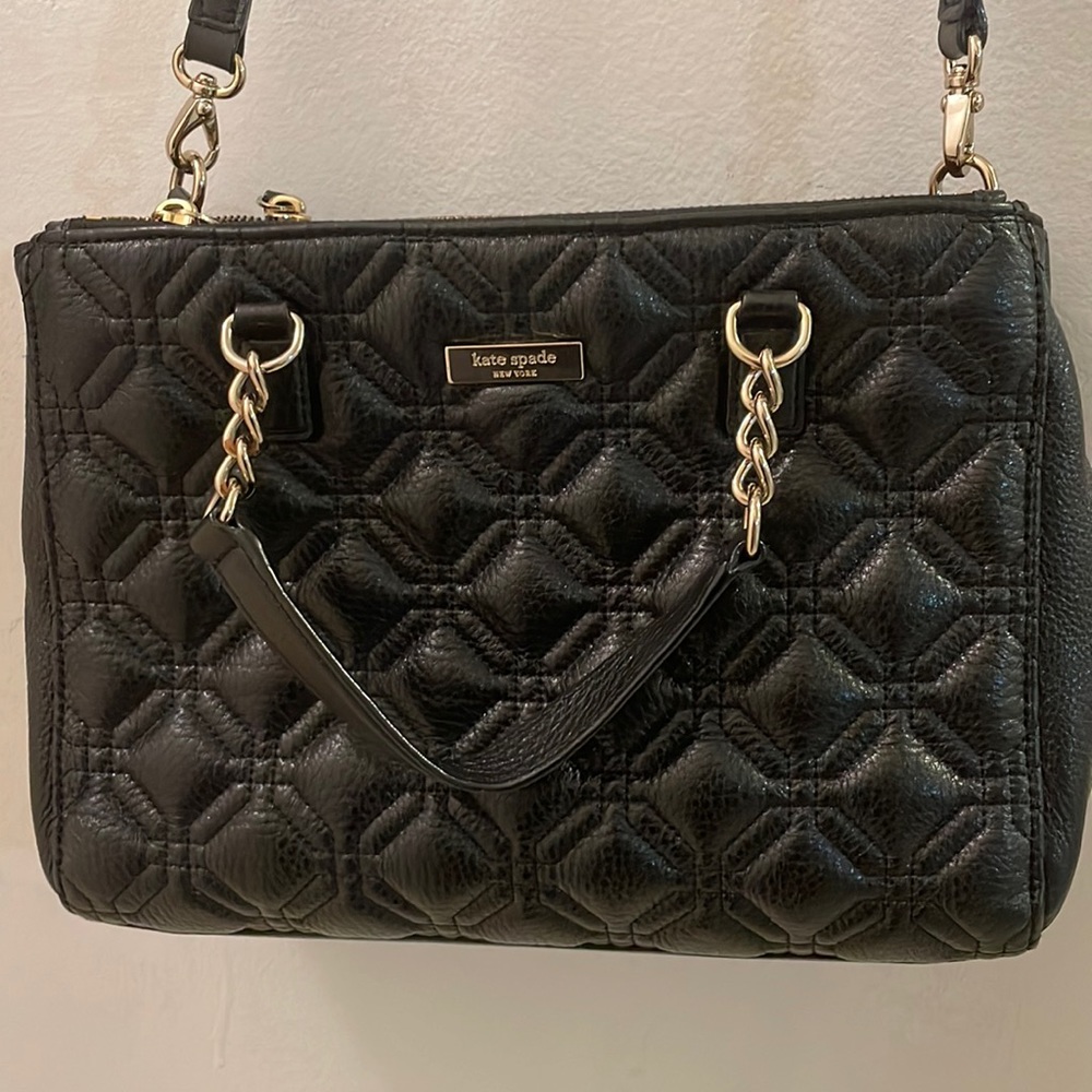 Kate Spade Small Loden Astor Court Purse X-body